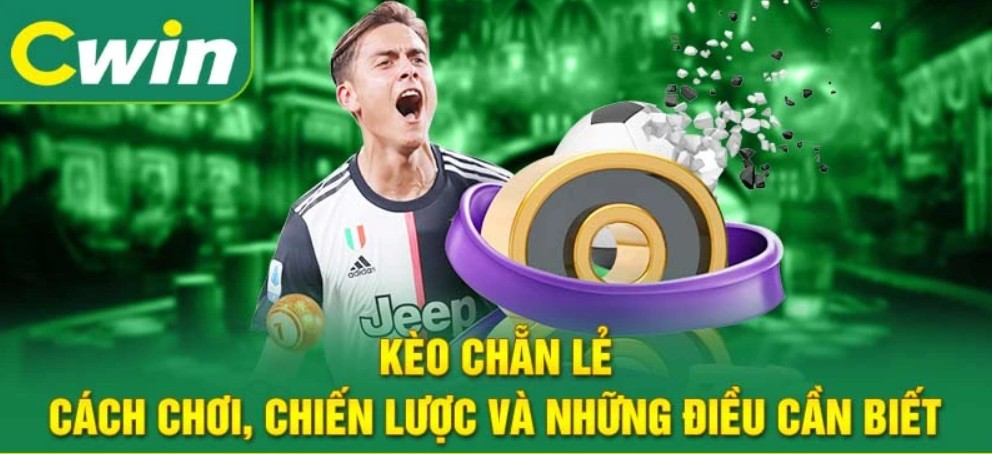 Dịch vụ chăm sóc khách hàng chuyên nghiệp